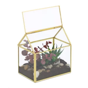 Relaxdays Pflanzenterrarium in Hausform Gold