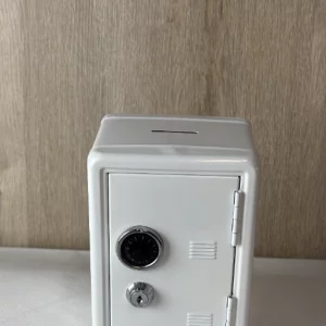 Goods Gadget Mini Safe