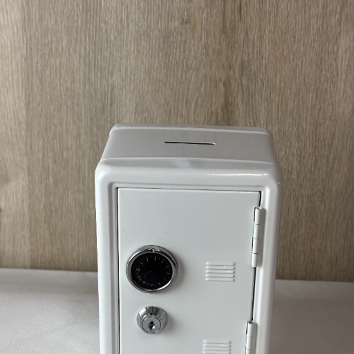 Goods Gadget Mini Safe