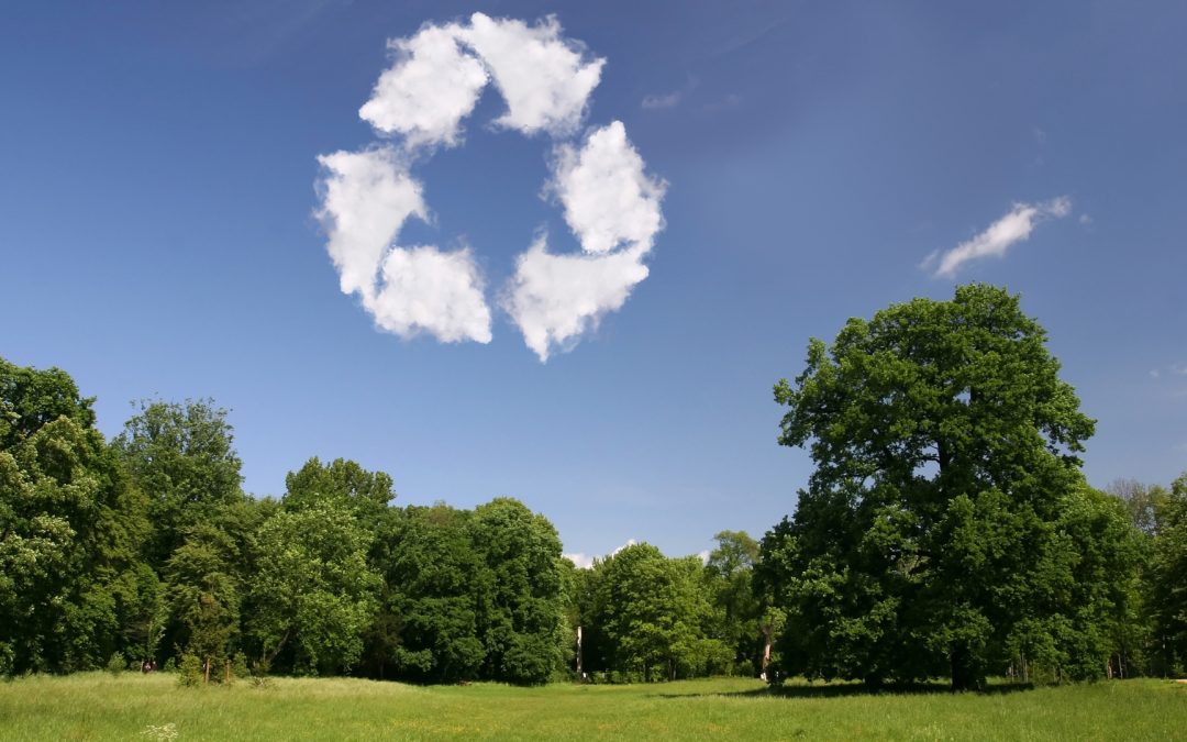 Umweltvorteile von SmartDeals NRW – wie nachhaltiger Handel im Alltag wirklich wirkt